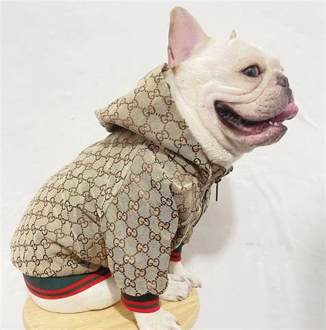 gucci pet coat